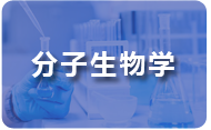 分子生物學(xué)實(shí)驗.png