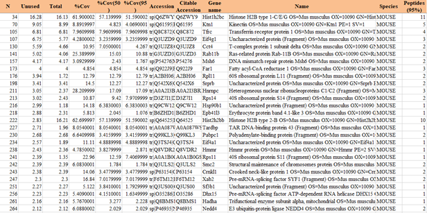 RNA pull-down實驗原理和步驟及結果分析