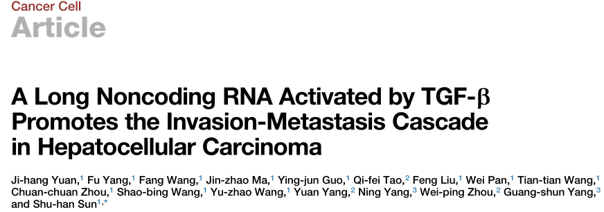 1637217584894059.png lncRNA-miRNA互作文獻圖.png