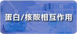 蛋白-核酸相互作用實(shí)驗.png