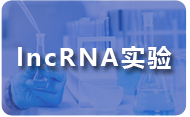 lncRNA實(shí)驗.png