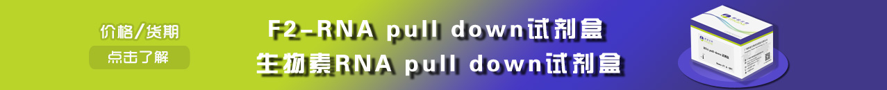 F2 RNA pulldown試劑盒/RNA pulldown試劑盒-強親和力/蛋白調(diào)取好-輝駿生物專業(yè)試劑盒供應商