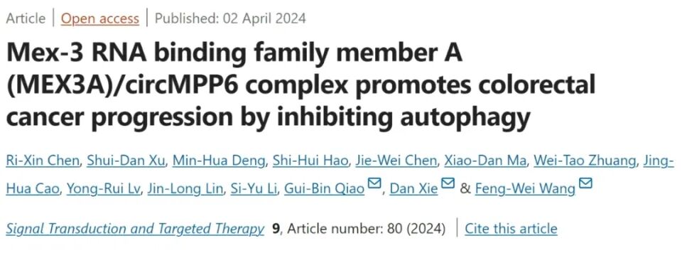 IP MS結合蛋白鑒定實驗-IF=40.8客戶高分文獻-輝駿生物蛋白質(zhì)譜鑒定實驗外包